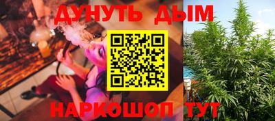 Альфа ПВП Малгобек