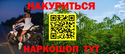 Альфа ПВП Малгобек