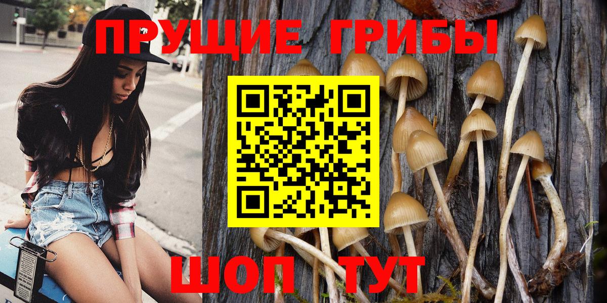 Галлюциногенные грибы GOLDEN TEACHER  Вход с VPN  Вязьма  Галлюциногенные грибы MAGIC MUSHROOMS 