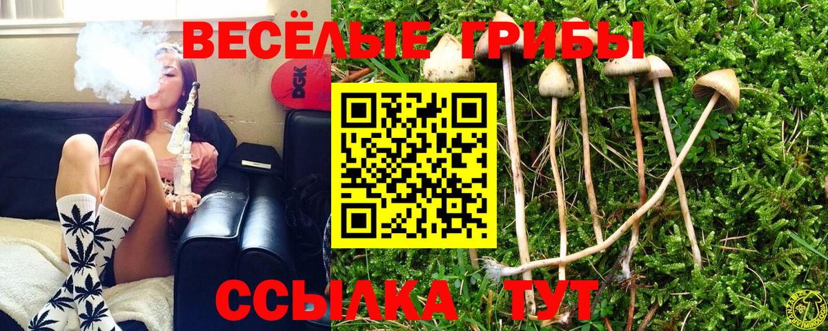 Псилоцибиновые грибы мухоморы Вязьма