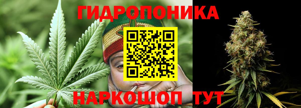 Марихуана сатива  Бошки марихуана Bruce Banner  МАРИХУАНА VHQ  Каннабис AK-47  Вязьма  Вход с VPN 